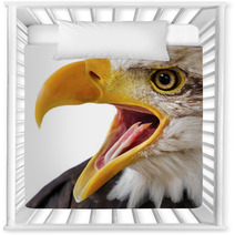 Bald Eagle Portrait Close-up Nursery Decor 44429517