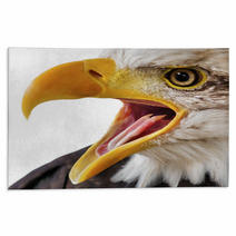 Bald Eagle Portrait Close-up Rugs 44429517