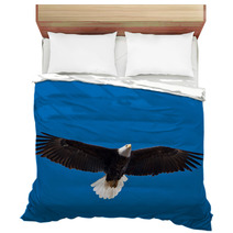 Bald Eagle Soars Overhead From The Left Bedding 50960933