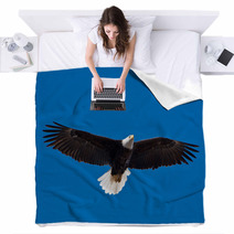 Bald Eagle Soars Overhead From The Left Blankets 50960933