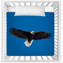 Bald Eagle Soars Overhead From The Left Nursery Decor 50960933
