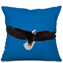 Bald Eagle Soars Overhead From The Left Pillows 50960933