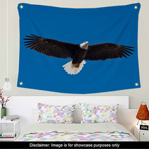 Bald Eagle Soars Overhead From The Left Wall Art 50960933