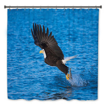 Bald Eagle With Fish In Talons Alaska Bath Decor 58264732