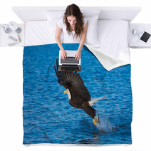 Bald Eagle With Fish In Talons Alaska Blankets 58264732