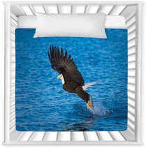 Bald Eagle With Fish In Talons Alaska Nursery Decor 58264732