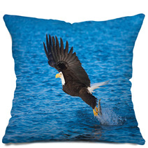 Bald Eagle With Fish In Talons Alaska Pillows 58264732