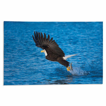 Bald Eagle With Fish In Talons Alaska Rugs 58264732