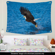 Bald Eagle With Fish In Talons Alaska Wall Art 58264732