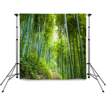 Bamboo Forest And Walkway Backdrops 60510509