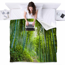 Bamboo Forest And Walkway Blankets 60510509
