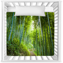 Bamboo Forest And Walkway Nursery Decor 60510509