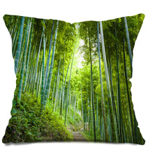Bamboo Forest And Walkway Pillows 60510509