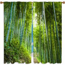 Bamboo Forest And Walkway Window Curtains 60510509