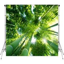 Bamboo Forest Backdrops 31874188