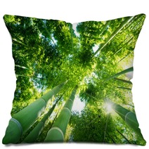 Bamboo Forest Pillows 31874188