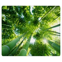 Bamboo Forest Rugs 31874188