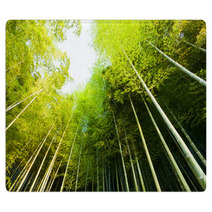 Bamboo Forest Rugs 60508221