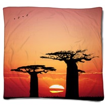 Baobab At Sunset Blankets 65752213