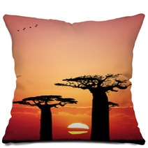 Baobab At Sunset Pillows 65752213