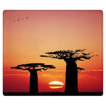 Baobab At Sunset Rugs 65752213