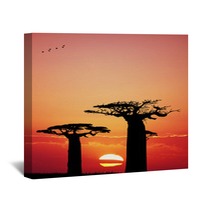 Baobab At Sunset Wall Art 65752213