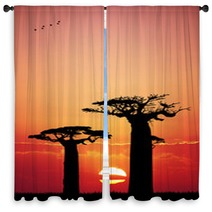 Baobab At Sunset Window Curtains 65752213