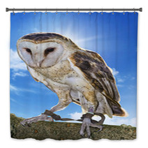 Barn Owl Bath Decor 54437223