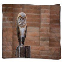 Barn Owl Blankets 216285844