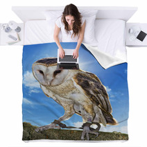 Barn Owl Blankets 54437223