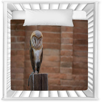 Barn Owl Nursery Decor 216285844