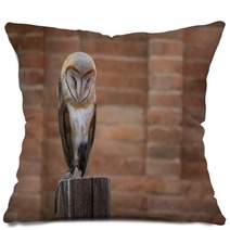 Barn Owl Pillows 216285844