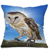 Barn Owl Pillows 54437223