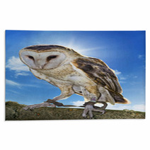 Barn Owl Rugs 54437223