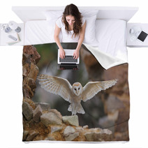 Barn Owl Tyto Alba With Nice Wings Flying On Stone Wall Light Bird Landing In The Old Castle Animal In The Urban Habitat United Kingdom Blankets 109769278