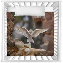 Barn Owl Tyto Alba With Nice Wings Flying On Stone Wall Light Bird Landing In The Old Castle Animal In The Urban Habitat United Kingdom Nursery Decor 109769278