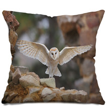 Barn Owl Tyto Alba With Nice Wings Flying On Stone Wall Light Bird Landing In The Old Castle Animal In The Urban Habitat United Kingdom Pillows 109769278
