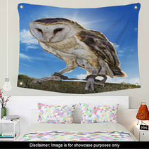 Barn Owl Wall Art 54437223