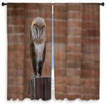Barn Owl Window Curtains 216285844