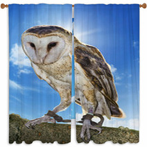 Barn Owl Window Curtains 54437223
