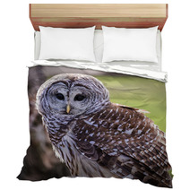 Barred Owl Bedding 64448111