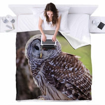Barred Owl Blankets 64448111