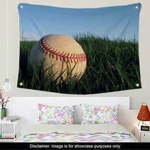 Baseball Close Up In Grass Wall Art 6648442
