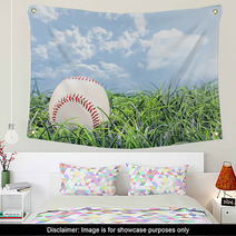 Baseball In Grass Wall Art 50102253