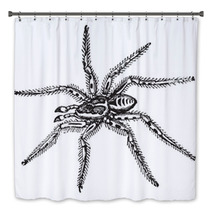 Spider Bath Decor 39065839
