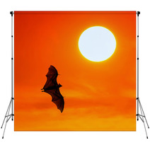 Bats Flying At Sunset Backdrops 100536517