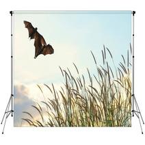 Bats Flying In Spring Season Sky For Background Usage  Backdrops 83690078