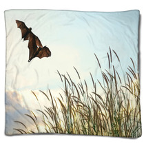Bats Flying In Spring Season Sky For Background Usage  Blankets 83690078
