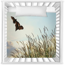 Bats Flying In Spring Season Sky For Background Usage  Nursery Decor 83690078