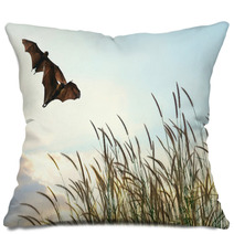 Bats Flying In Spring Season Sky For Background Usage  Pillows 83690078